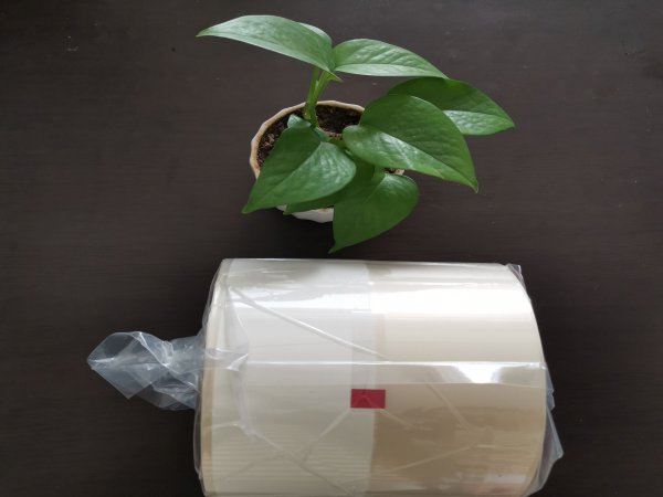 印刷可降解药品包装膜工艺出现产生印版堵塞的原因